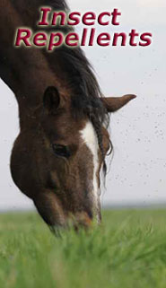 Stassek DIVERSIT Equistar Equilux Equistep Faulpelz LazyMan 